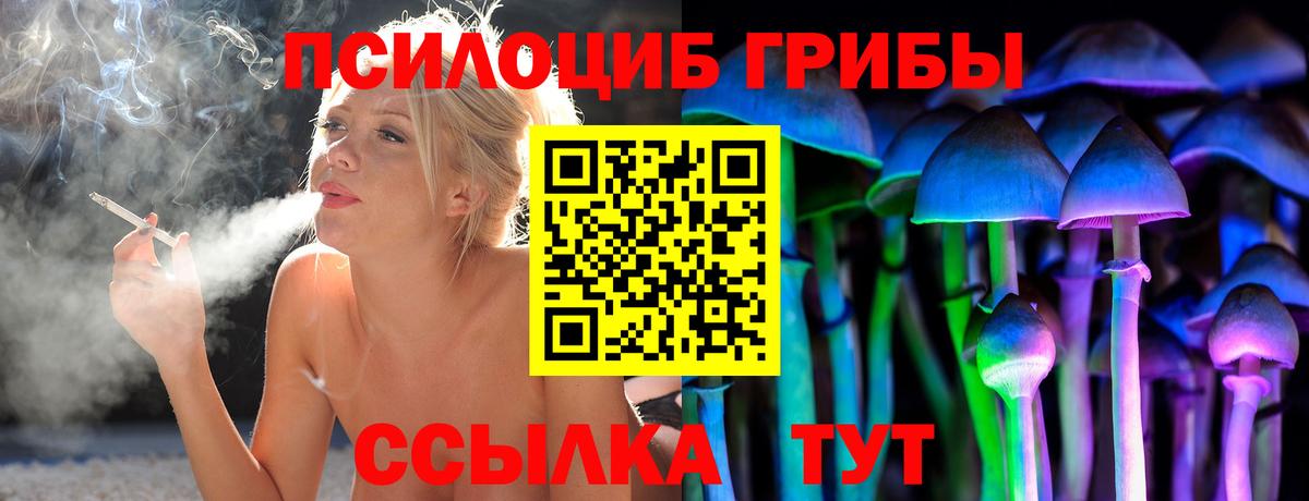 Псилоцибиновые грибы Psilocybe  Галлюциногенные грибы GOLDEN TEACHER  Вход с VPN  купить наркотики цена  Назрань 
