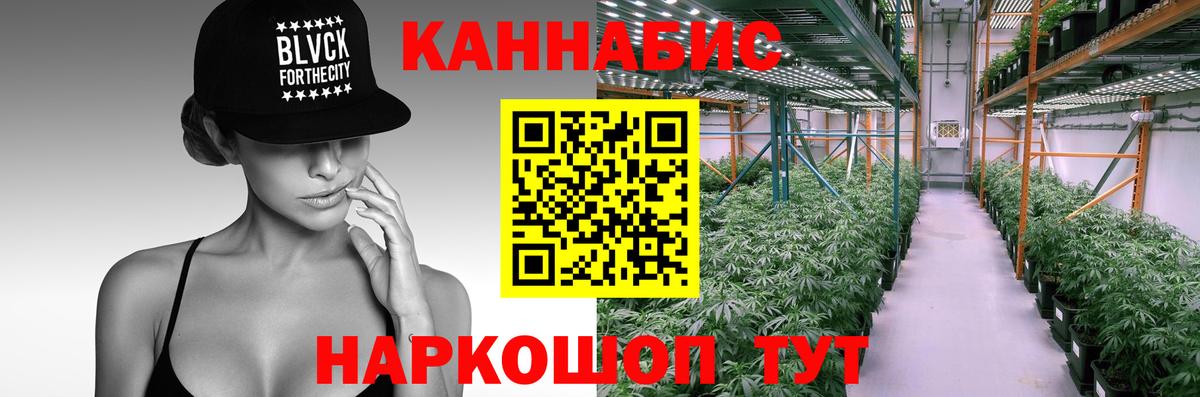 Каннабис планчик  Марихуана план  Вход с VPN  Шишки марихуана индика  Назрань 